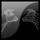 Polygon Cruncher V15 for Autodesk® 3ds Max®