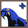 Macaw Plus