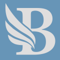 BidLight 3.0