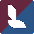 Lumion View & LiveSync® for Autodesk® Revit®